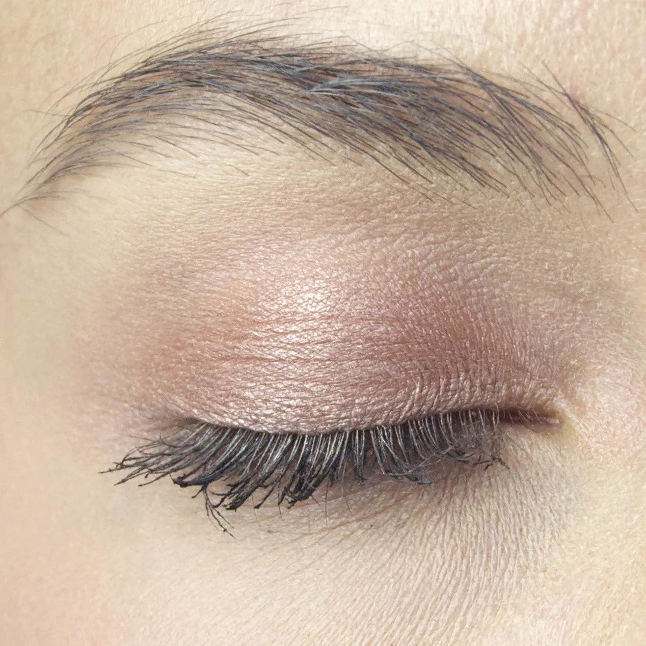 Centsible Eyeshadow